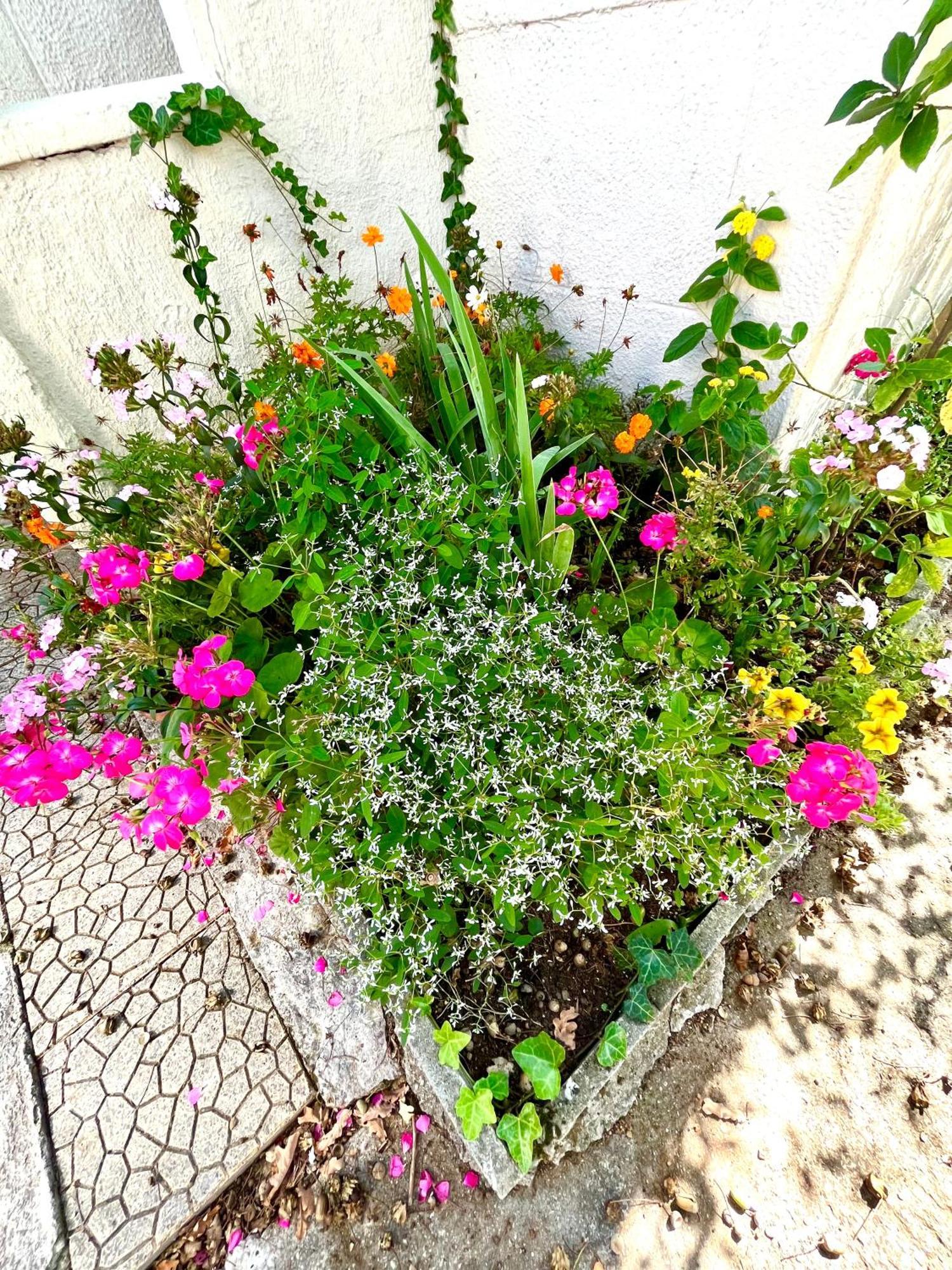 הוילה אונאי-סו-בואה Cosy House Near Paris, Cdg Airport + Parking מראה חיצוני תמונה