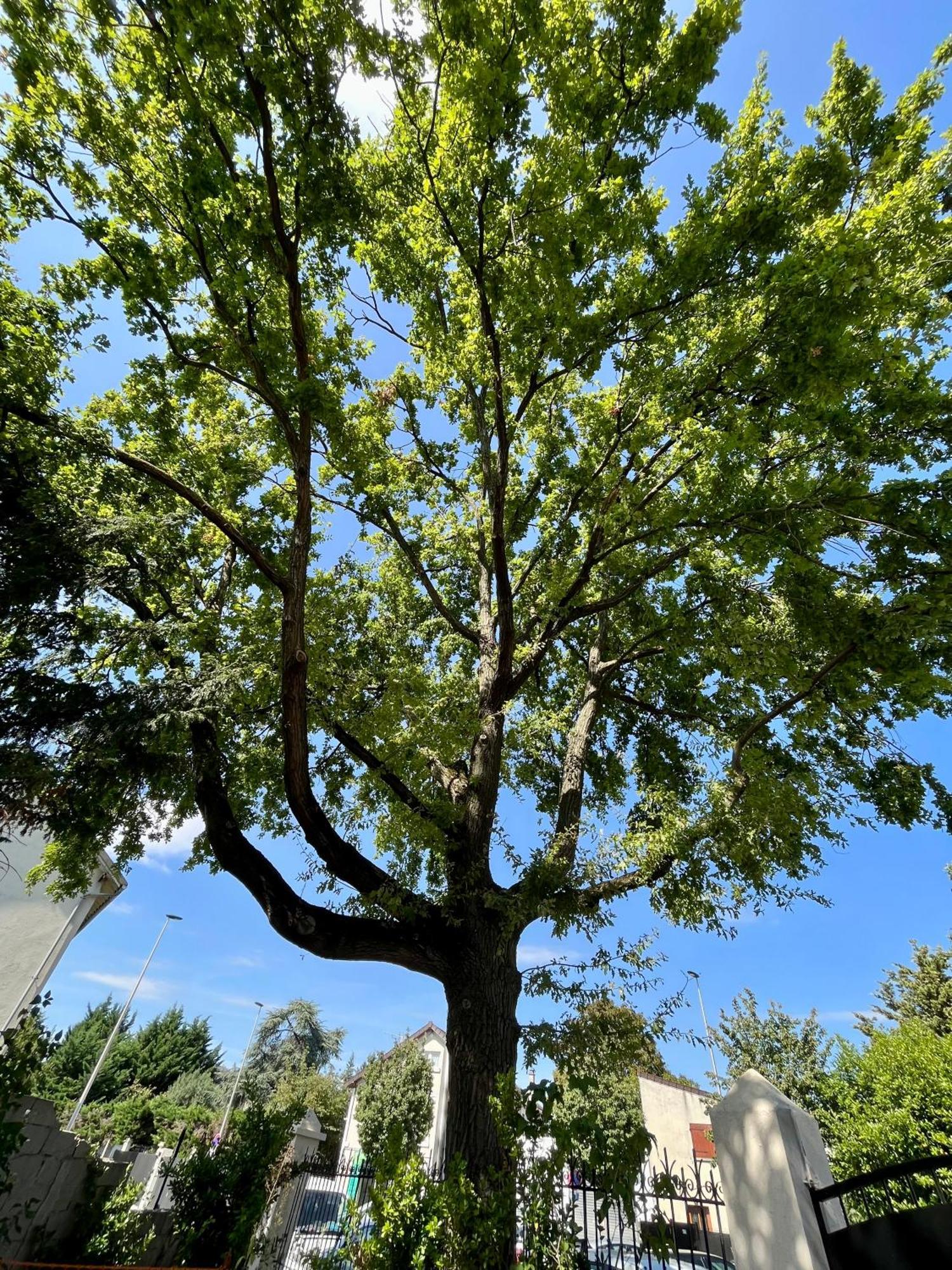 הוילה אונאי-סו-בואה Cosy House Near Paris, Cdg Airport + Parking מראה חיצוני תמונה